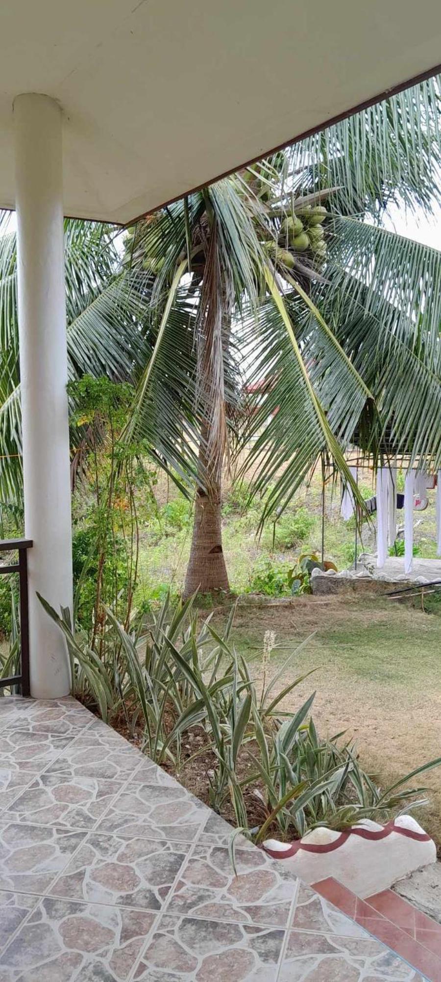 Bonita Oasis Beach Resort Moalboal Exterior photo